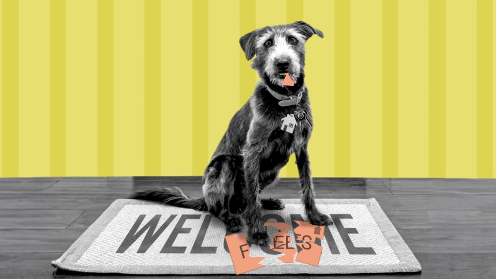 Dog on welcome mat;Designer: Raphael Whittle for CentrePiece
