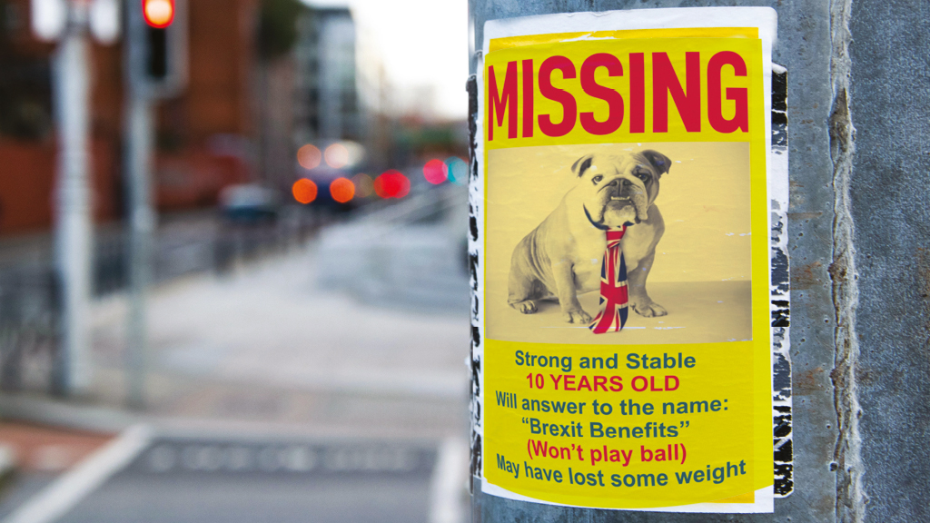 Photo-montage of a missing dog poster, where the dog's name is Brexit.;