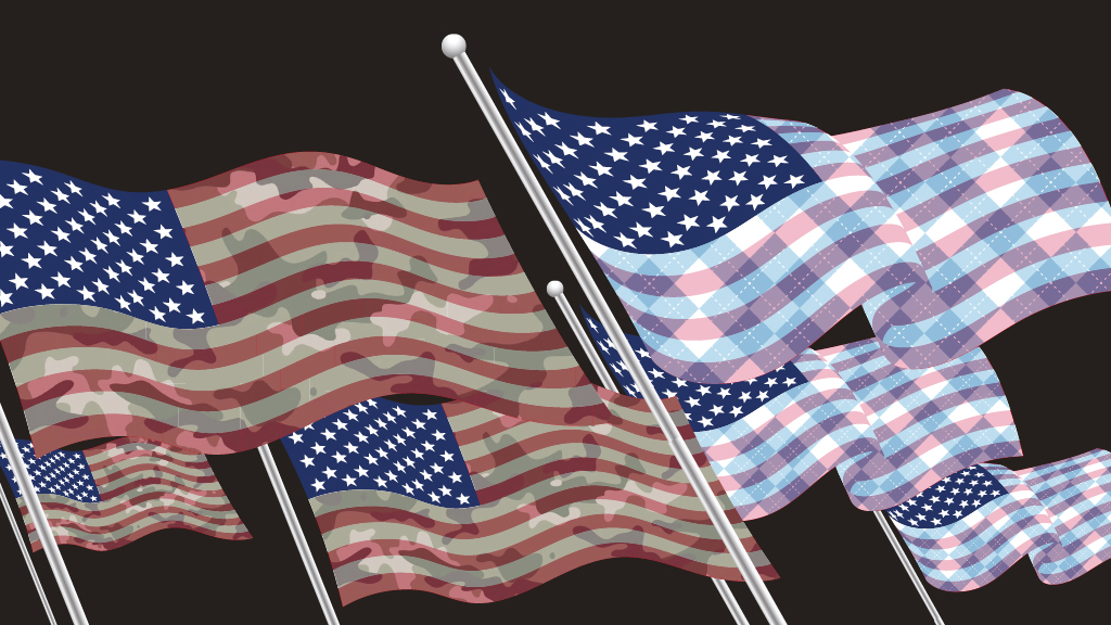 Illustration of American flags with opposing patterns superimposed on them.;